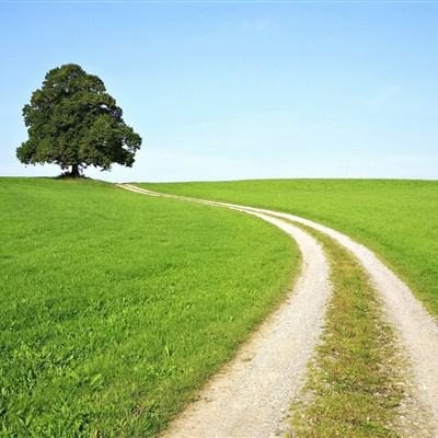 beat365下载手机版