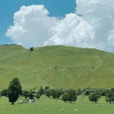 888电玩城游戏厅app下载