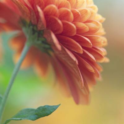 am8亚美ag旗舰厅官网下载手机版