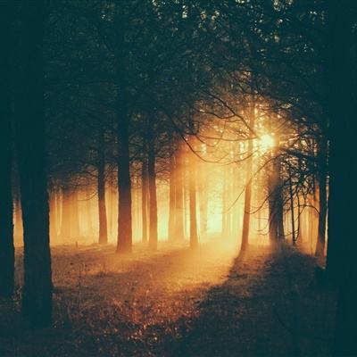 ng体育电子游戏