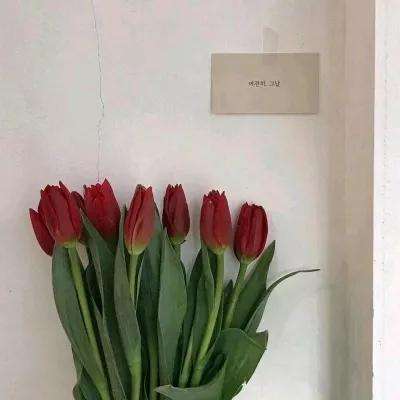 365平台下载手机版